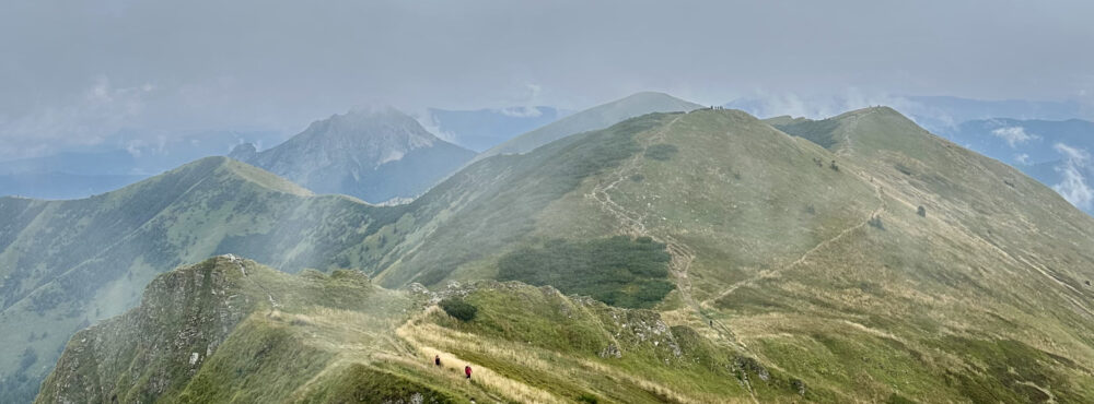 marketa.krizova